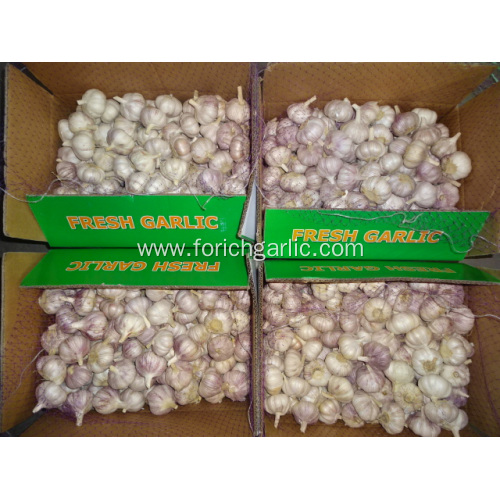 Crop 2019 Fresh Garlic Normal White Garlic